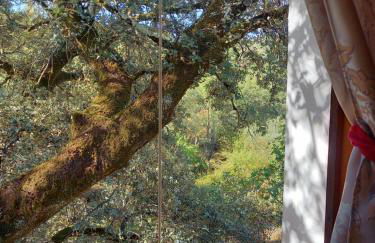 La Encina Casa Rural - Foto 21