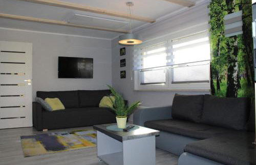 Domki Spokojny Zakątek z balią z jacuzzi - Foto 21