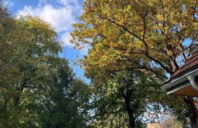 PIZUNY Dom pod dębem z balią na wyłączność - Foto 70