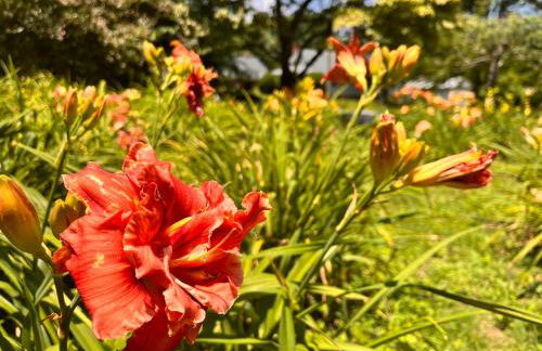 Modern & Cozy on Private Lane, Minutes to Airport - Foto 39