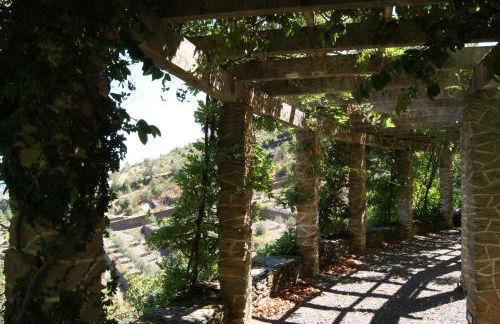 Quinta das Aveleiras - Foto 25