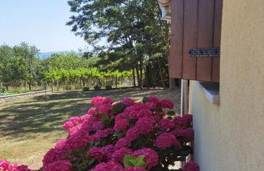 Apartment Luce - Foto 8