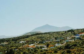 Finca El Lance - Foto 31