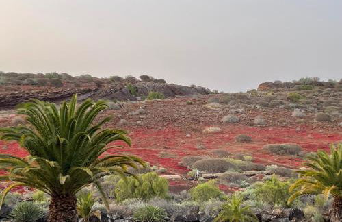 Casa Las Olas - Foto 34