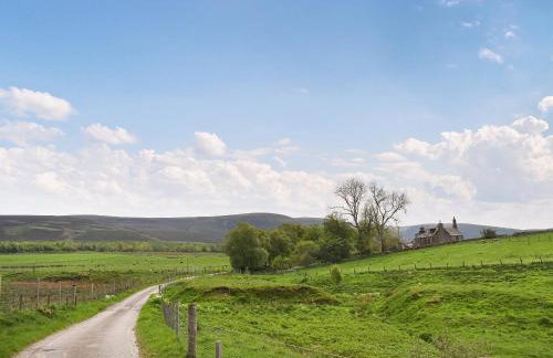 Mid Bellandy - Foto 25