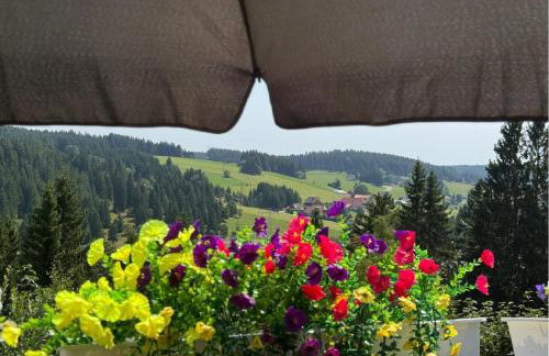 s'Felix - Übernachten bei Freunden - Foto 11