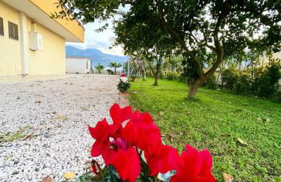 Casa Vacanze Paradise - Photo 51