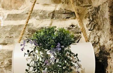 APARTMAN Captain Bervida Murter - Foto 17