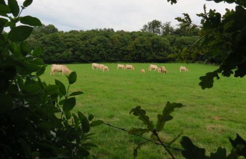 Gîte écoconçu charmant proche zoo de la Flèche - Photo 31