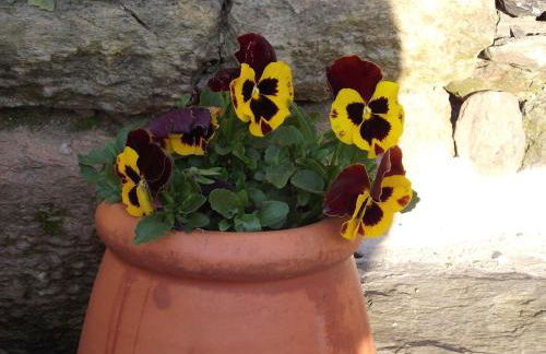 Charming House Terrace Amarante - Foto 62