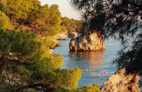 Studio apartment Jelinek - Foto 47