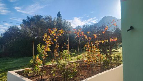 Xeno Bayview Apartment Salamina - Foto 2