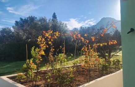 Xeno Bayview Apartment Salamina - Foto 2