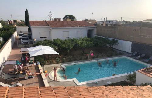 Lemon Gold - Foto 10