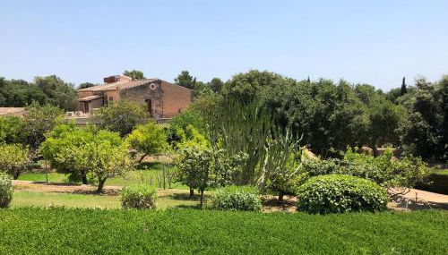 Agroturisme Son Samà - Foto 5, Garden view