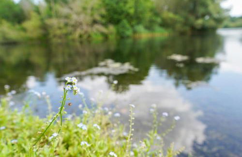 The Dairy at Lodge Farm - Photo 20