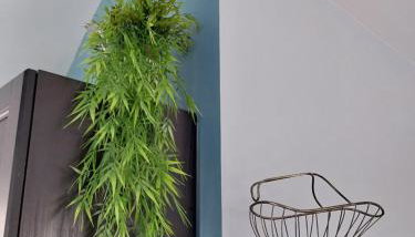 gîte de la scierie - Foto 4