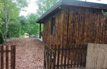 Zielenina Leśny Domek - Foto 14