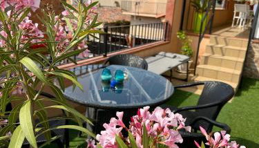 Royal Inn Aparthotel - Foto 5, Garden