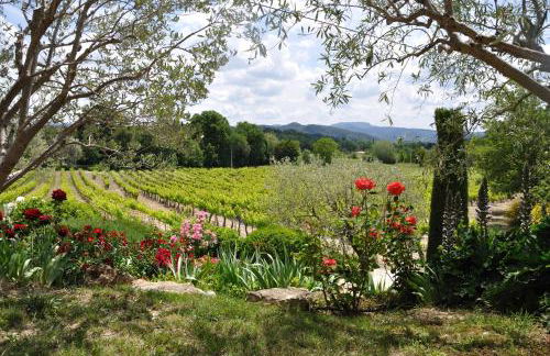 Maison Bijoux-de-Provence "Lavande" - Foto 35