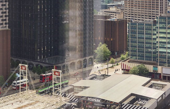 The Blossoms - Foto 68