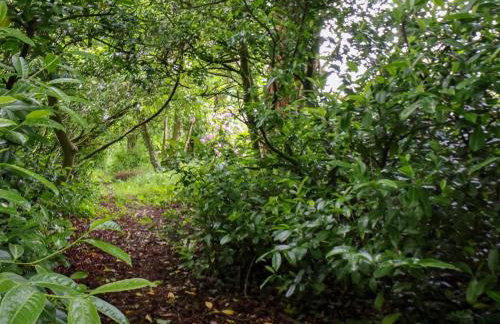 The Grange - Foto 32