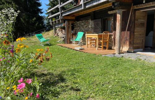 Le petit érable - Vue Mont Blanc - Foto 30