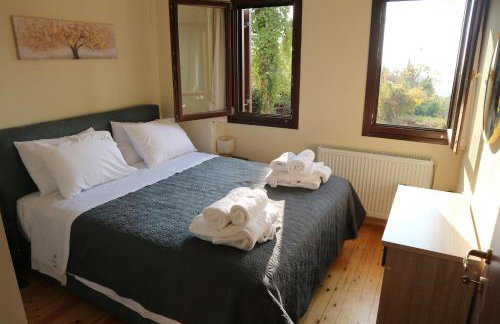 Villa Elea in Milies Pelion - Foto 6