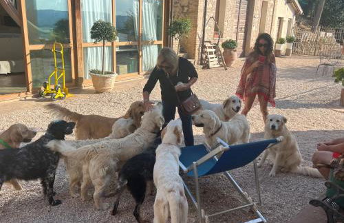 SetterHouseAgriHotel - Photo 15