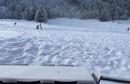 La Clusaz Ski aux pieds et randonnées - Foto 16