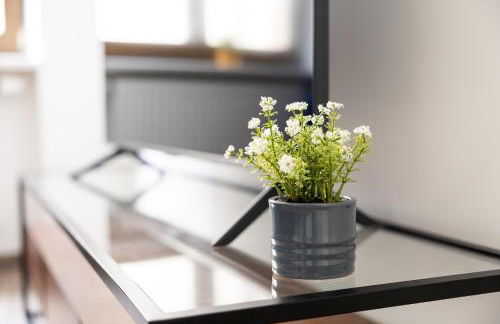 Apartments am Neuen Theater - Parkplatz nach Verfügbarkeit - Altstadt - Küche - Wifi - Powered by Ko-Living - Foto 56