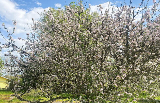 4 Star Holiday Home in Stillingson - Foto 34