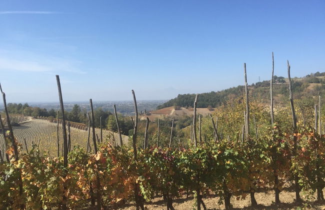 Studio in Bastia Mondovi With Pool and Winery - Foto 35