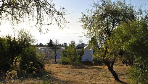 VILLA HORIZONTE - Photo 5