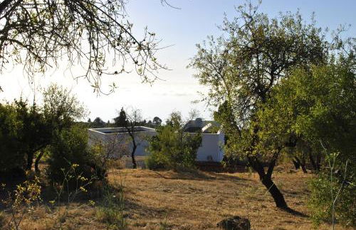 VILLA HORIZONTE - Photo 5