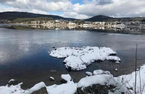 Holiday Home Schluchseehuus by Interhome - Foto 15