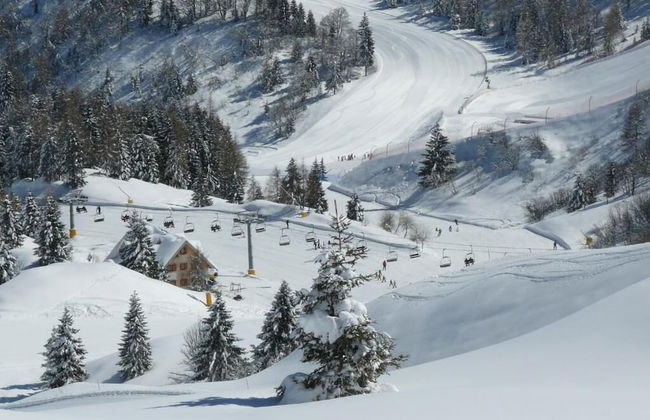 Baita Goles - Foto 10