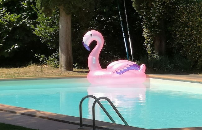 Villa al Piano - Photo 6