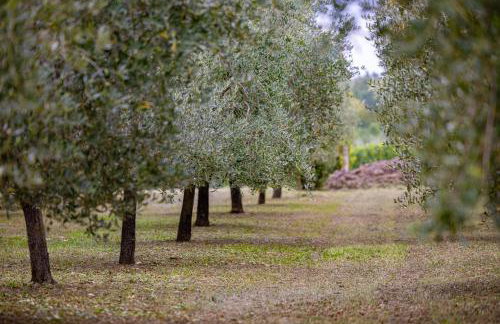 Villa Allegra - Foto 52