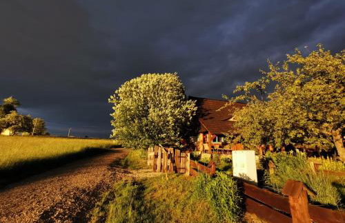 Jabłoniowy Sad Kalwaria Pacławska - Foto 58