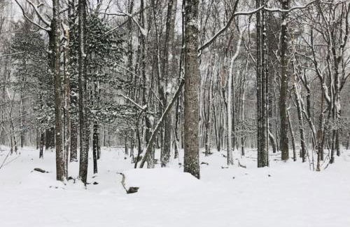 Lake harmony estates beach and lake access - Foto 15