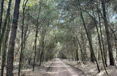 La Dolce Vita - Apartment with shared pool and large terrace - Foto 80