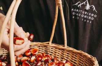 Agriturismo Giacomino - Foto 19