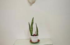 Luminoso Apartamento de Diseño en Paseo Imperial - Photo 18