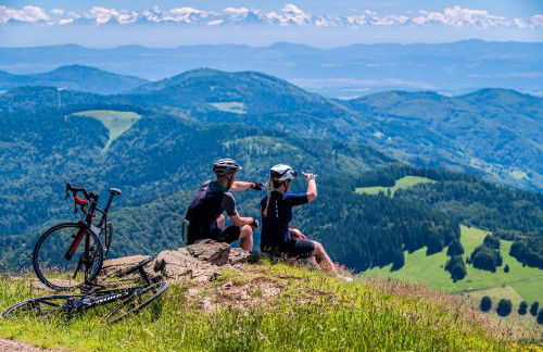 Ferienwohnung Seeblick Nr 5, 2 Zi-Bärental, Feldberg - Foto 16