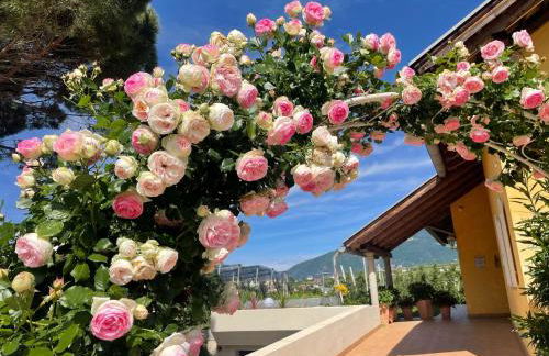 Villa Raifer - Foto 28