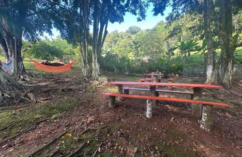 Sítio Rota 77 - Foto 3