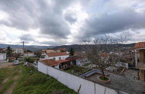 Euodosi vilia apartments - Foto 50