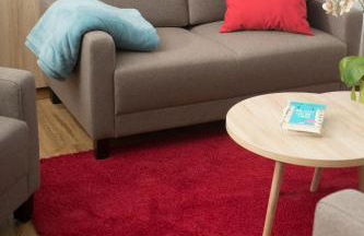 Ferien auf dem Weingut - Foto 17