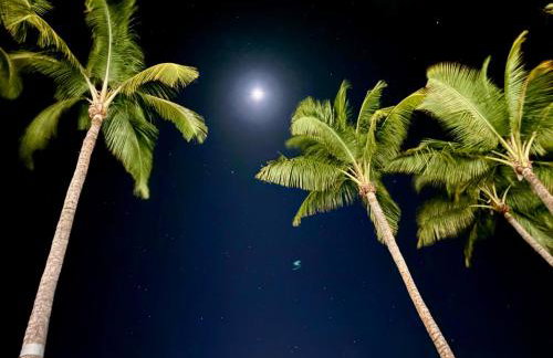 Compass Blue Lahaina - Foto 41